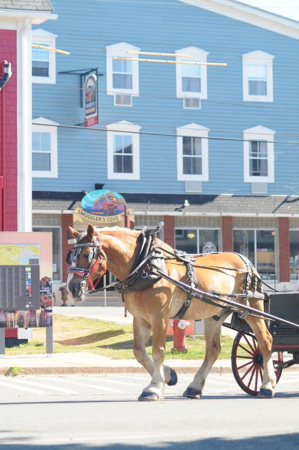 Smugglers Cove Inn Lunenburg Ngoại thất bức ảnh
