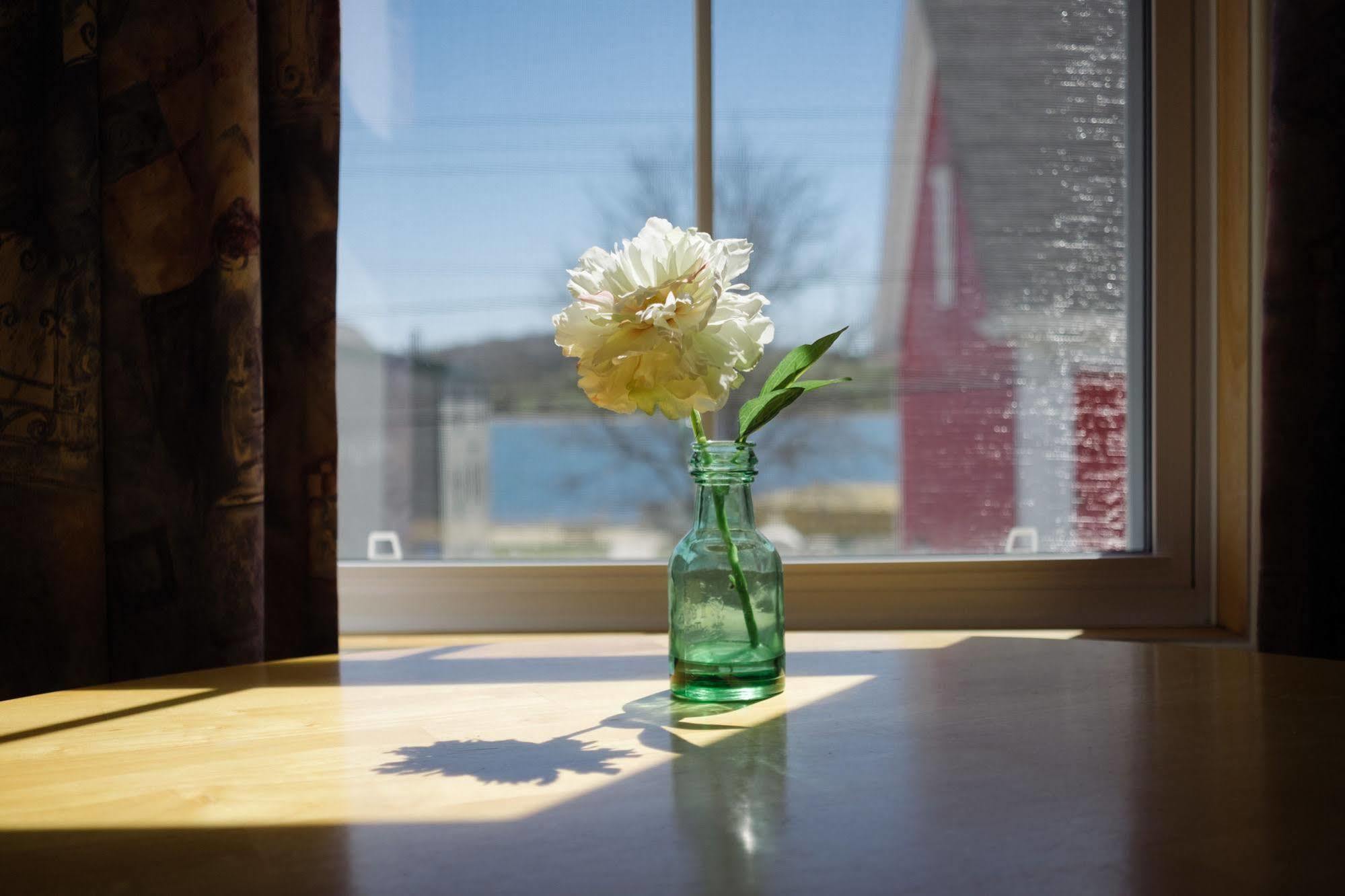 Smugglers Cove Inn Lunenburg Ngoại thất bức ảnh
